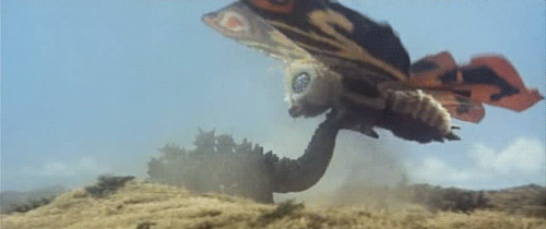 Mothra-vs-Godzilla-GIF-random-37219492-500-210